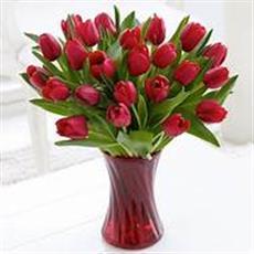 red tulips in vase