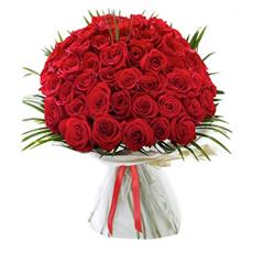 50 Red Freedom Roses